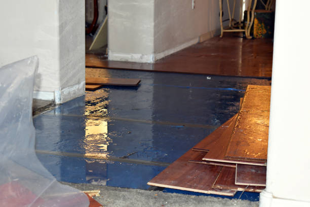 Professional Basement Water Removal technician working in Andover, MN