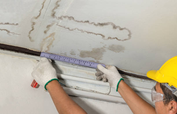 Reliable Basement Water Removal contractor in Andover, MN by Water Damage Irwin